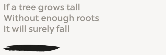 startup capital venture investment